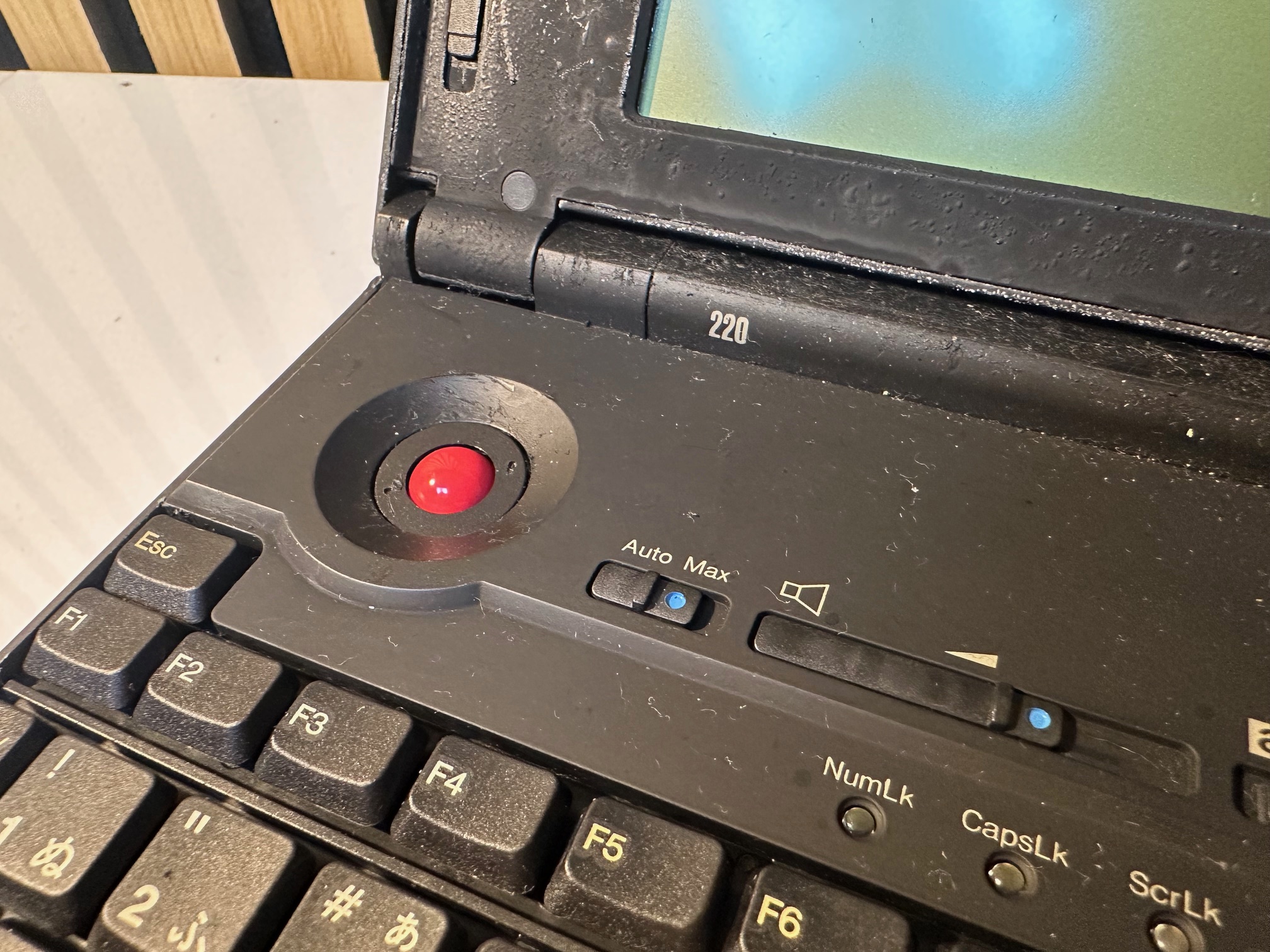 IBM ThinkPad 220 - MacDat